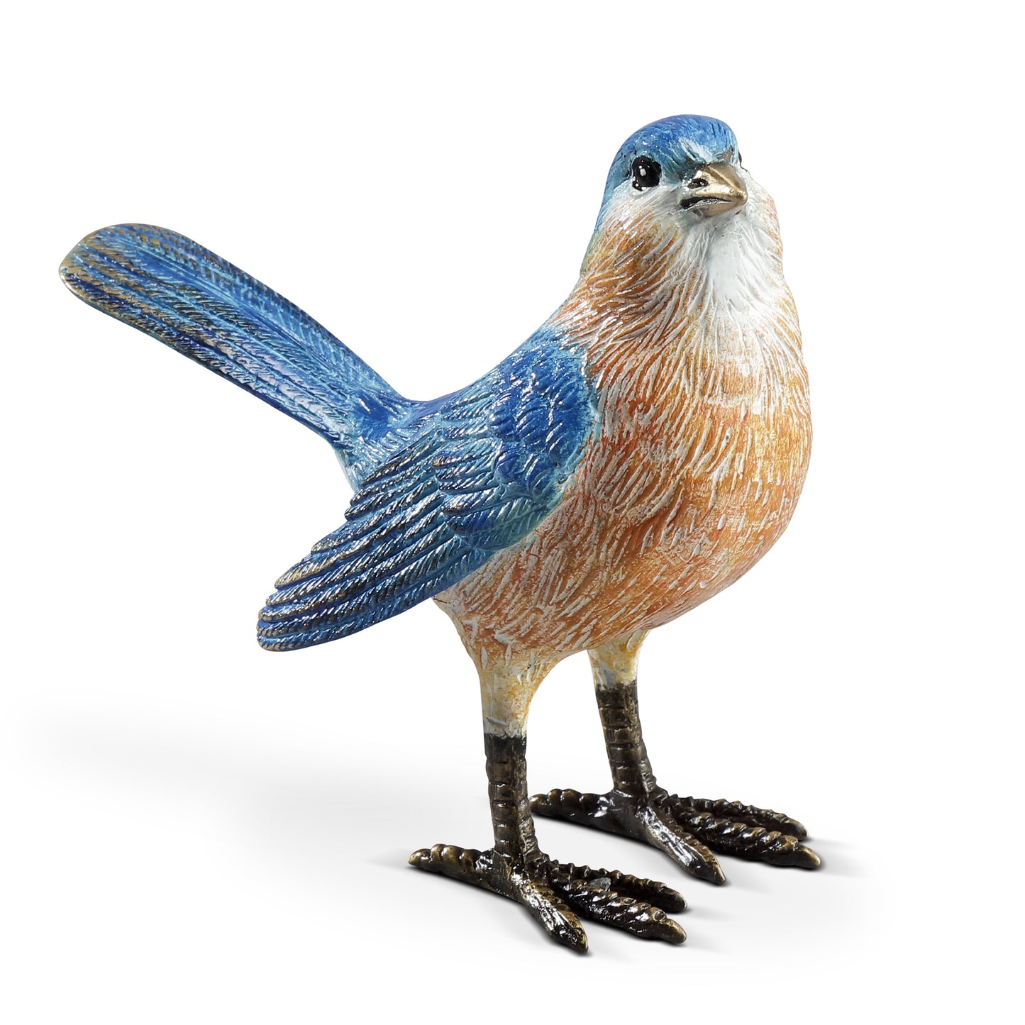 Colorful Western Bluebird