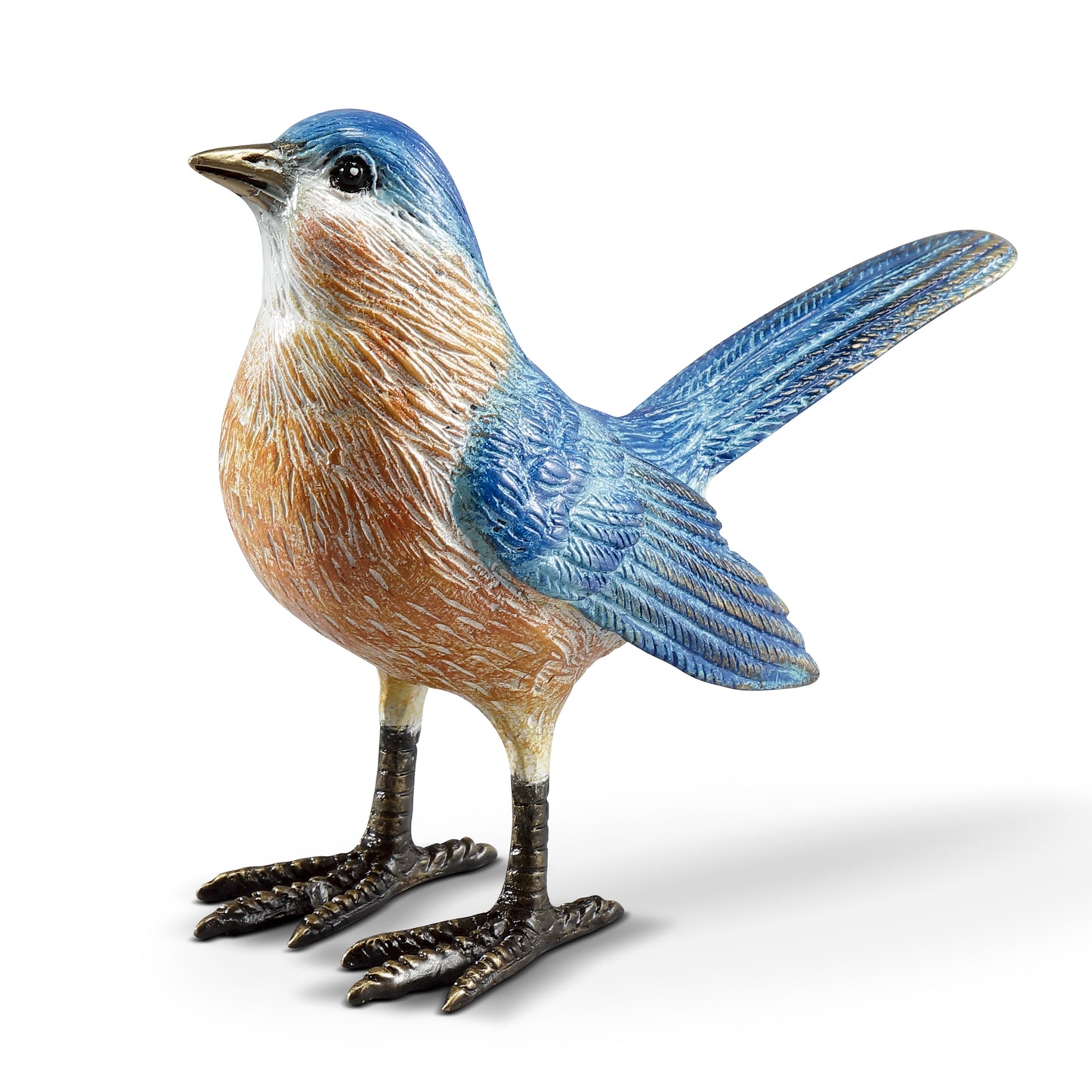 Colorful Western Bluebird