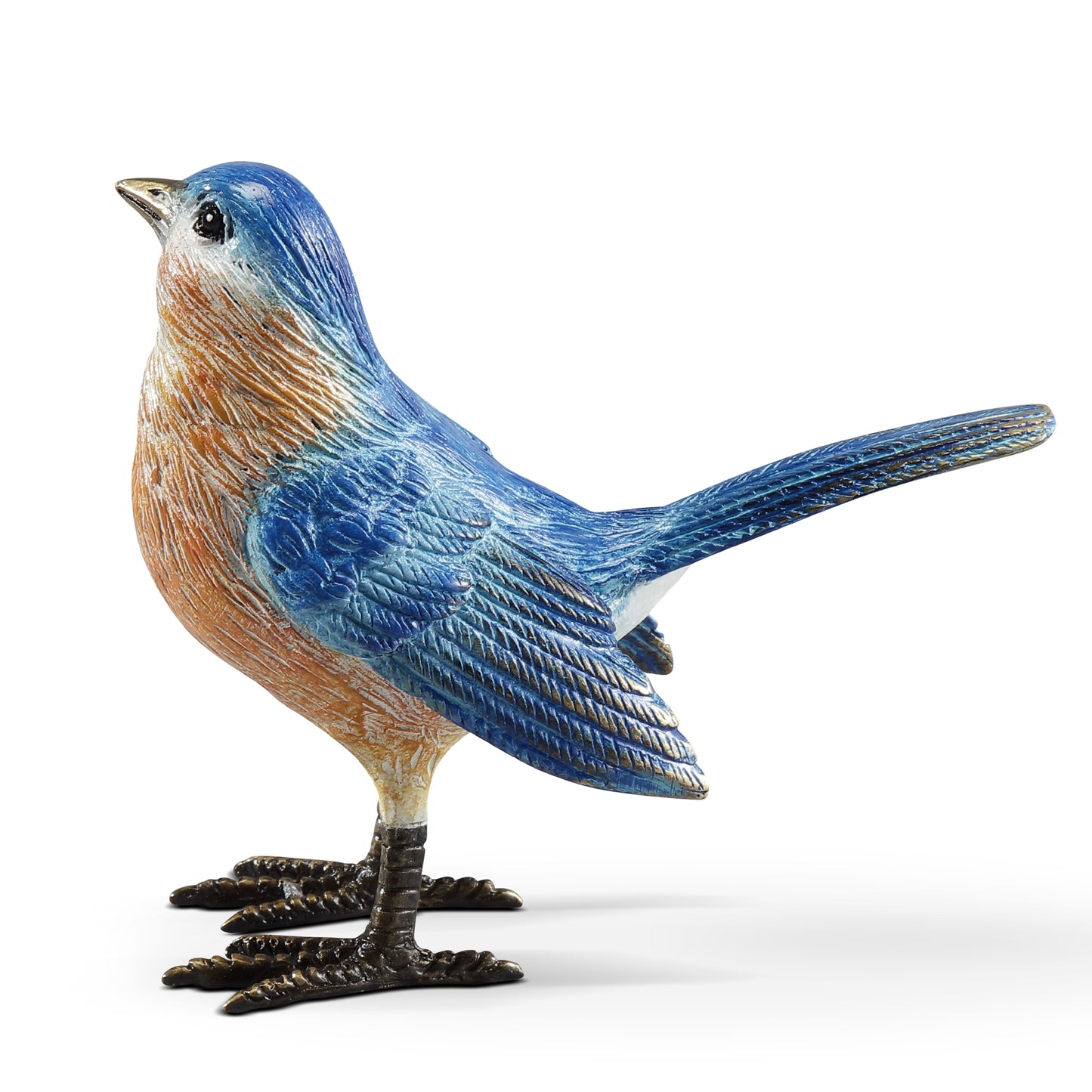 Colorful Western Bluebird