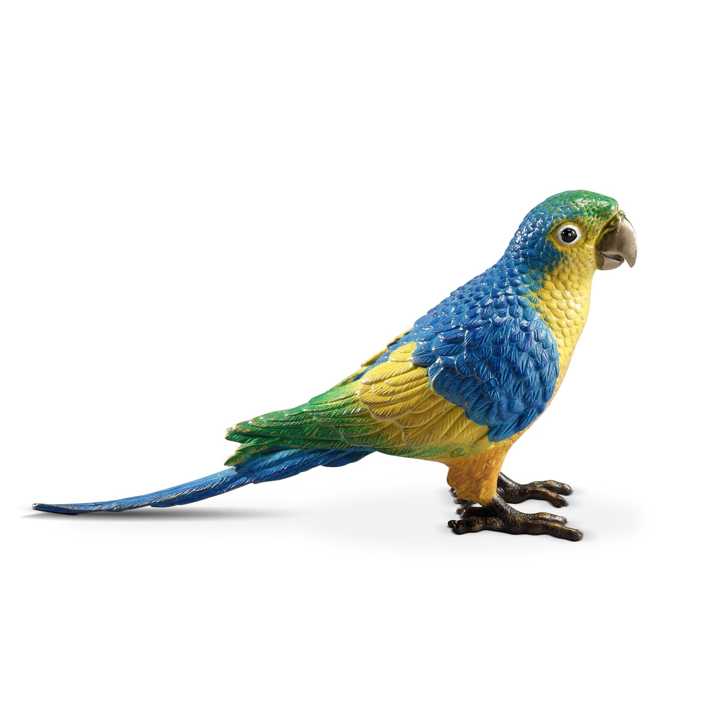 Colorful Parrot