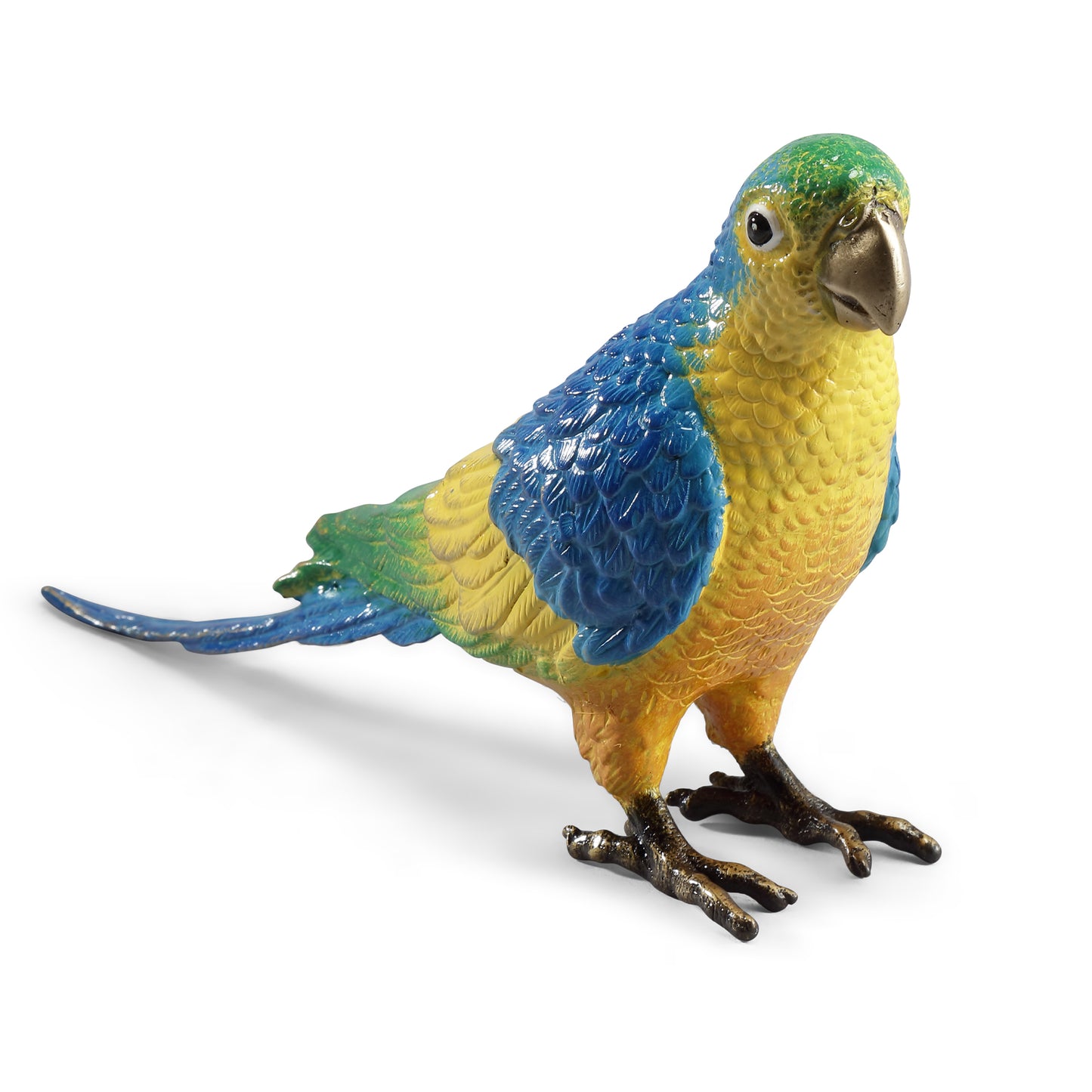 Colorful Parrot