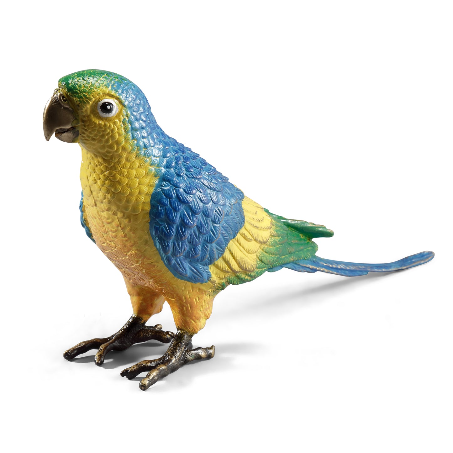 Colorful Parrot