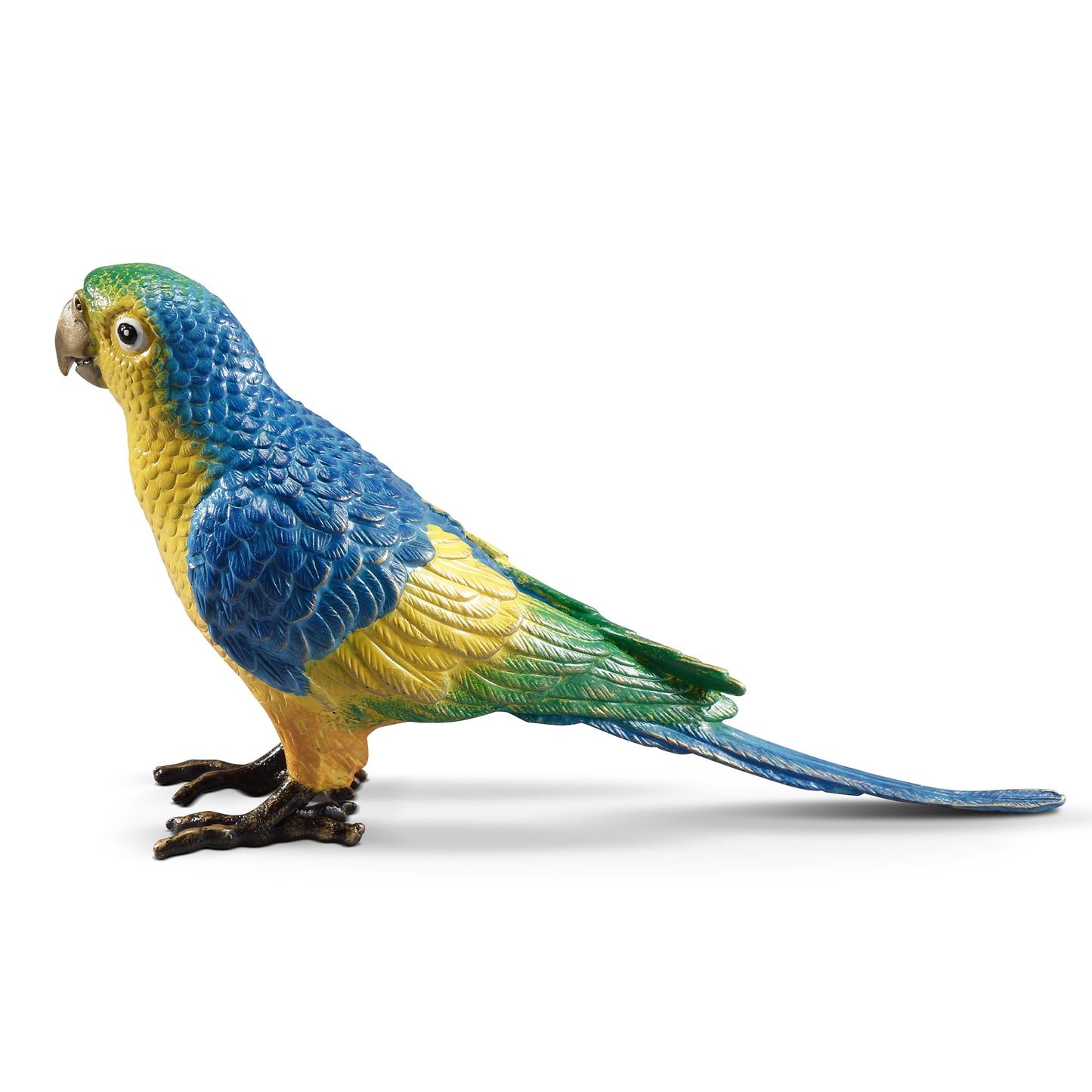 Colorful Parrot