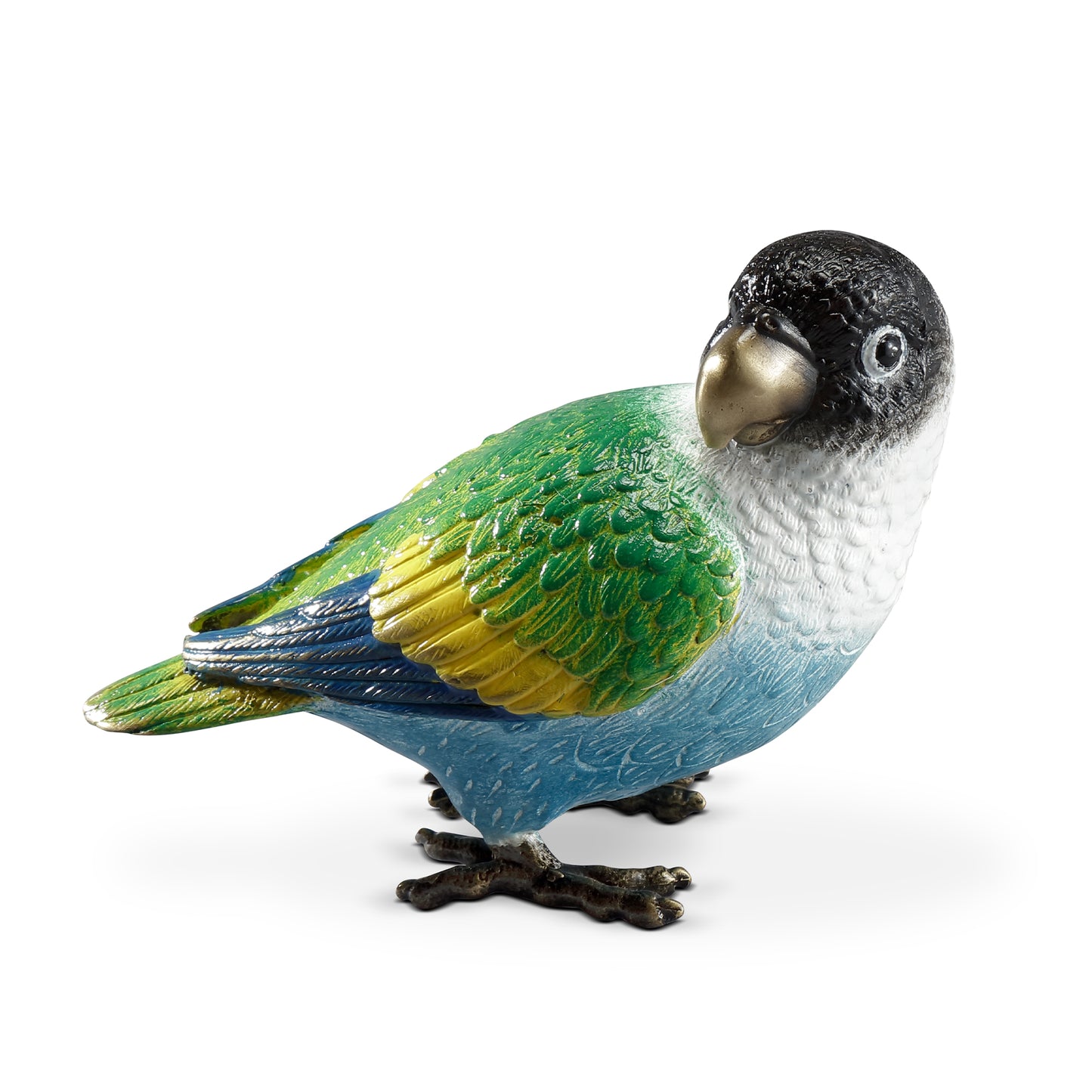 Colorful Black Headed Parrot
