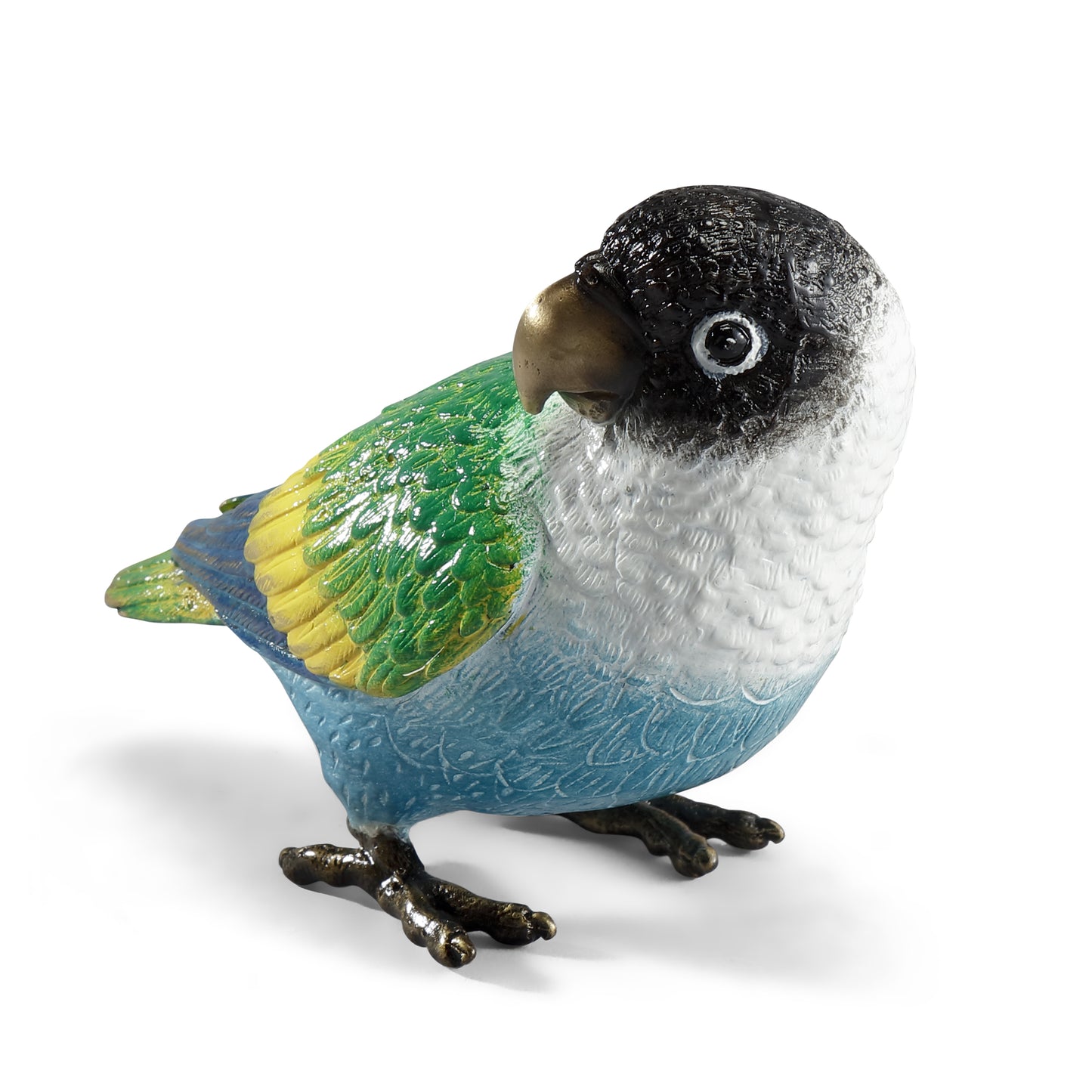 Colorful Black Headed Parrot