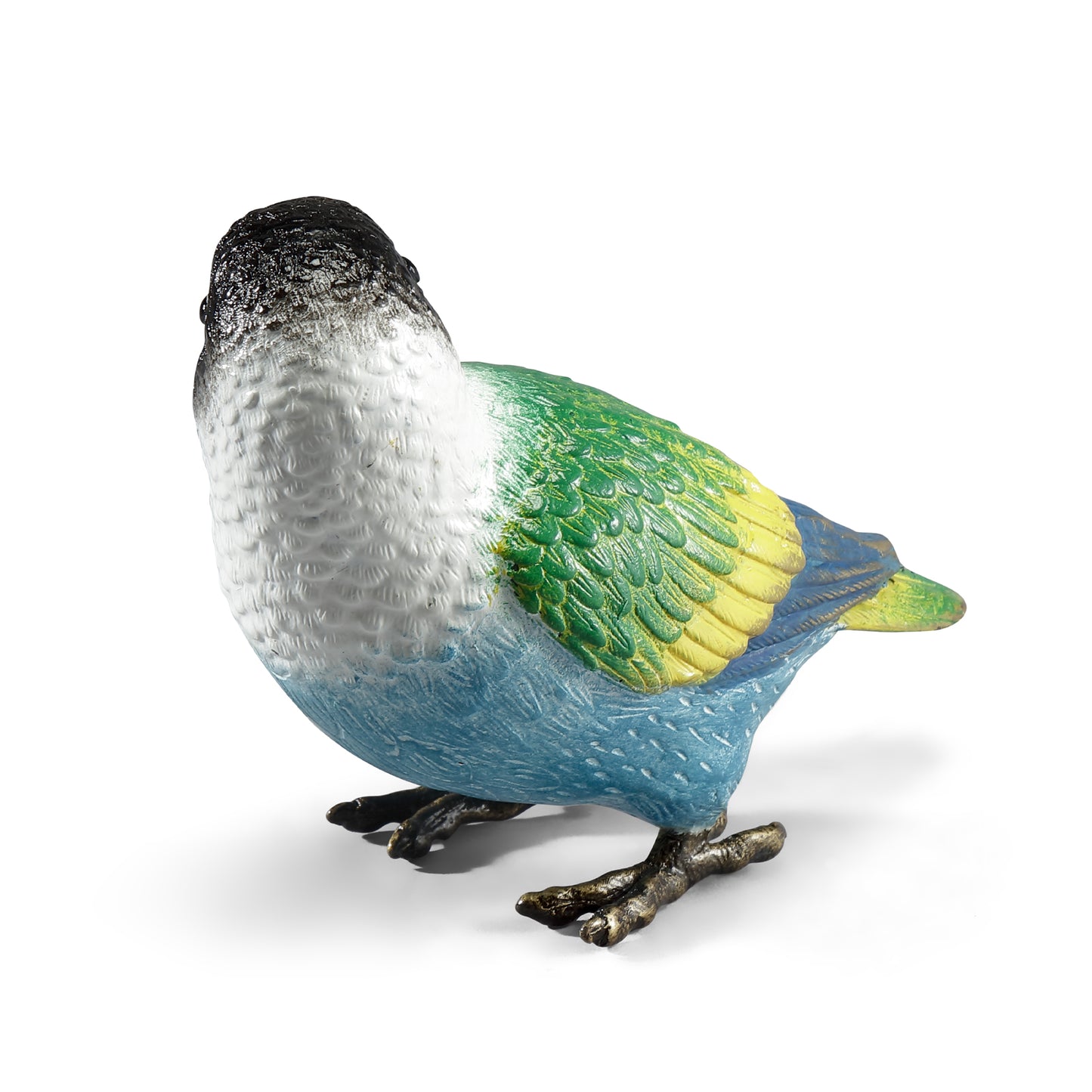 Colorful Black Headed Parrot