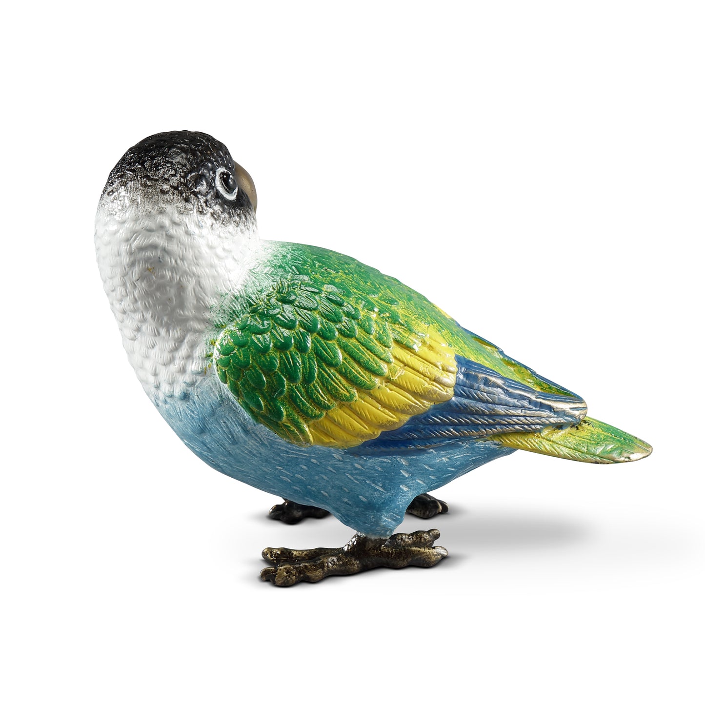 Colorful Black Headed Parrot