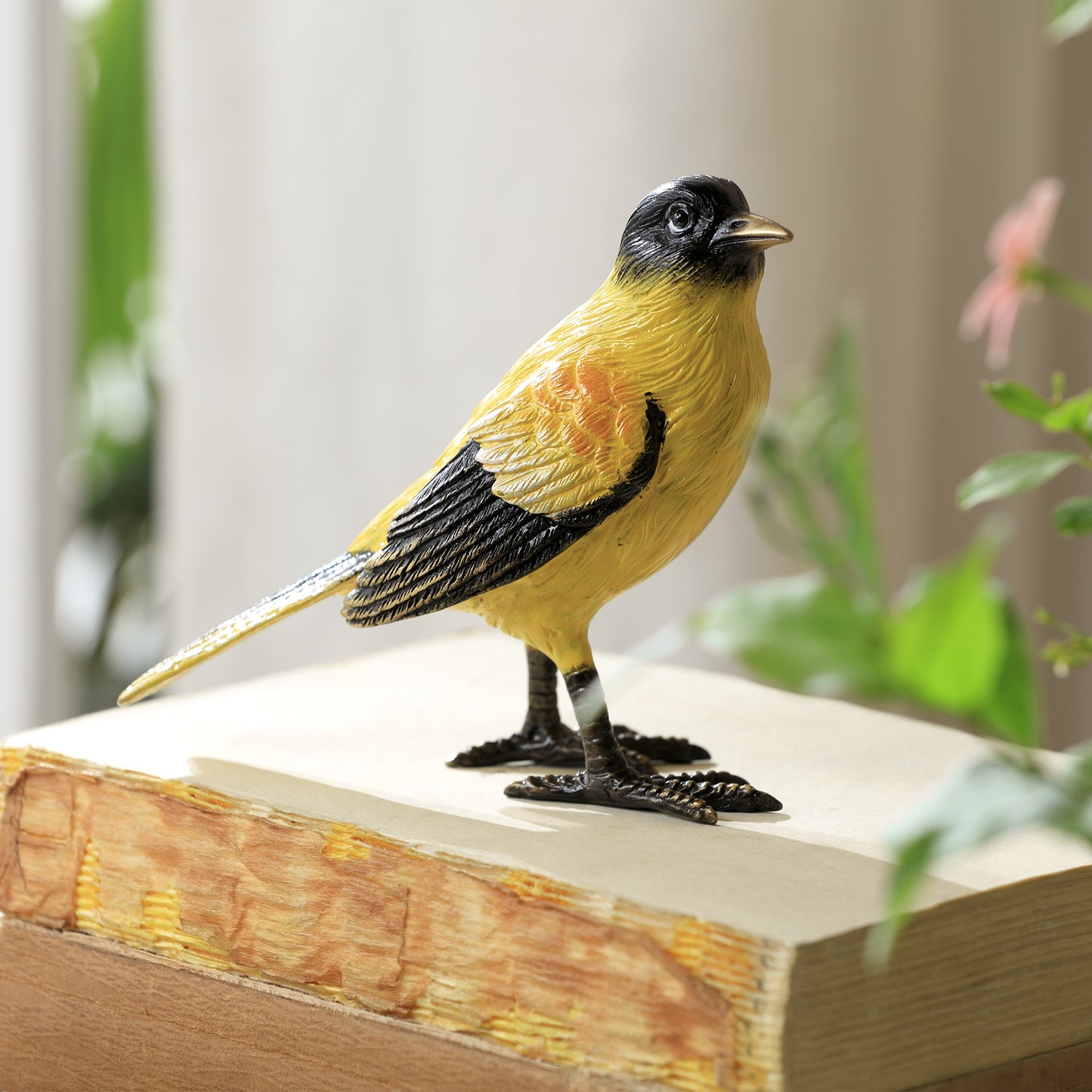 Colorful Oriole