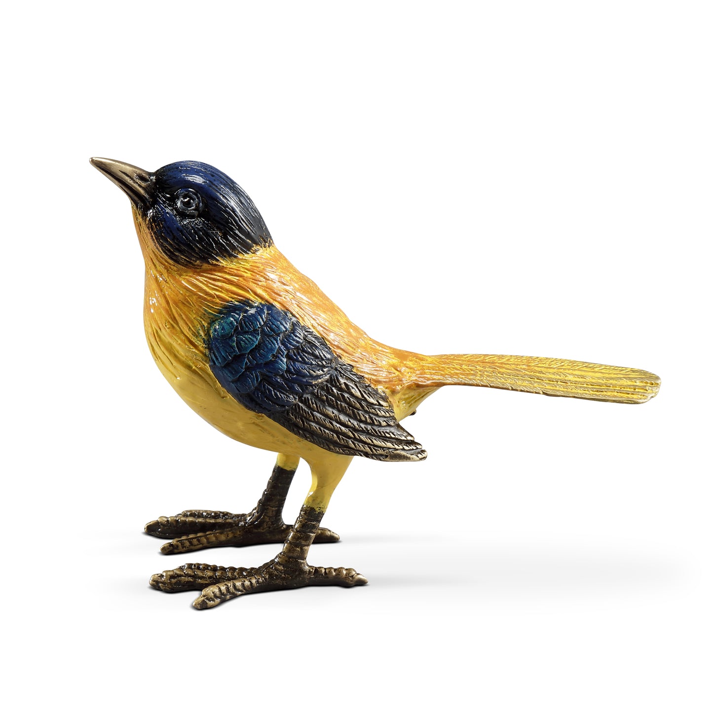Colorful Audubon’s Oriole