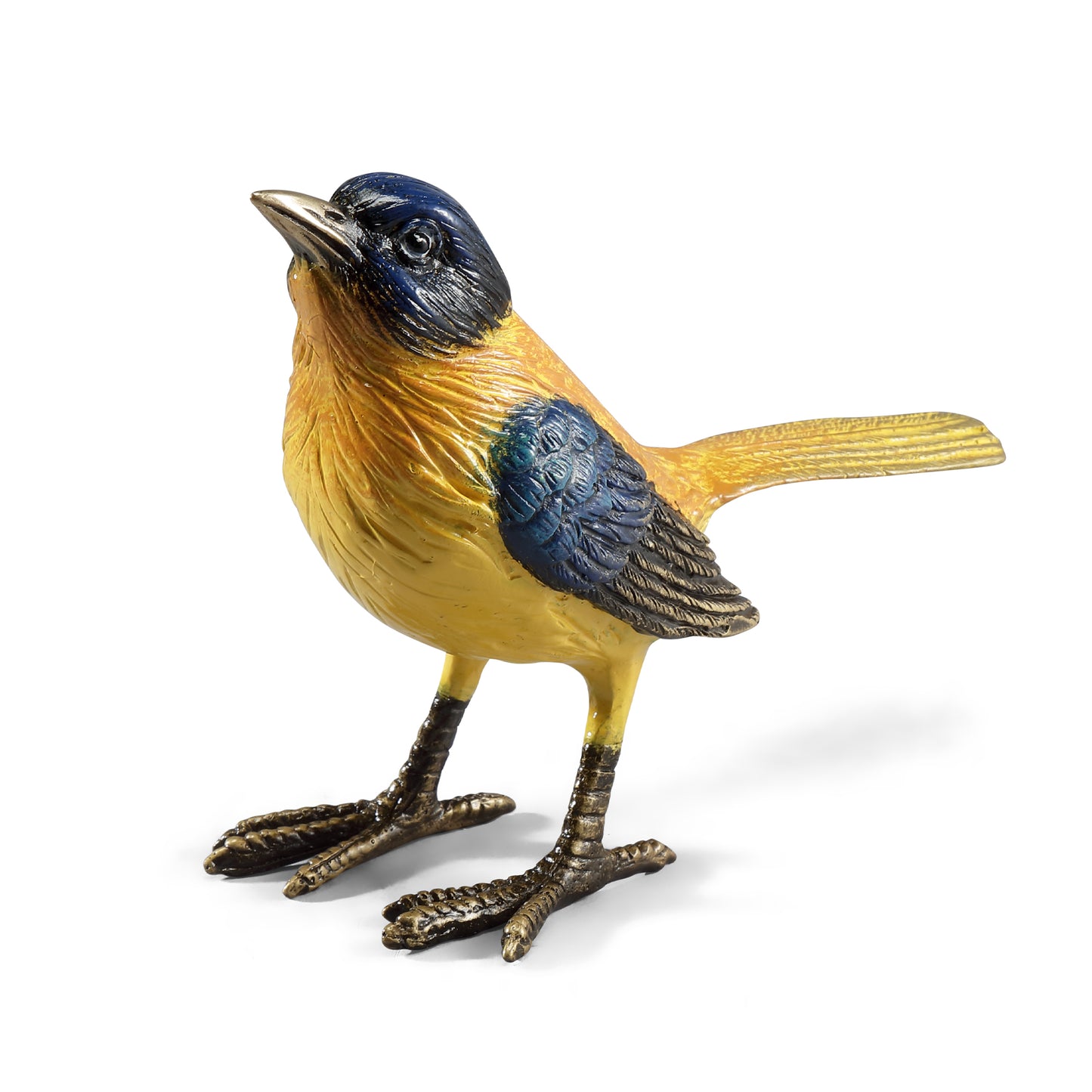 Colorful Audubon’s Oriole