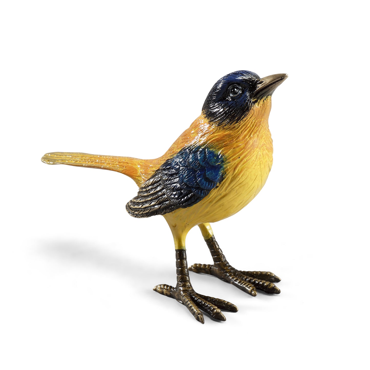 Colorful Audubon’s Oriole