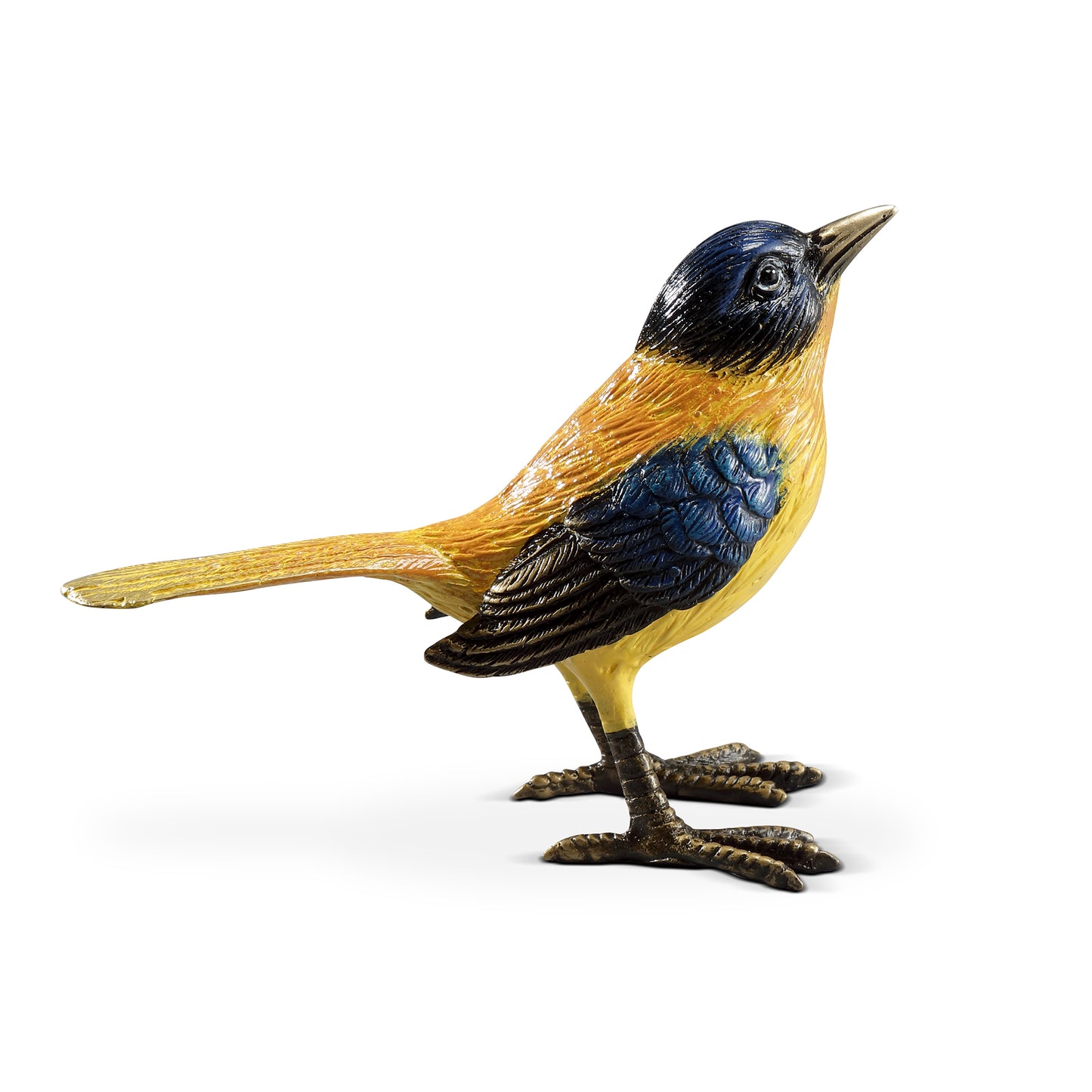 Colorful Audubon’s Oriole