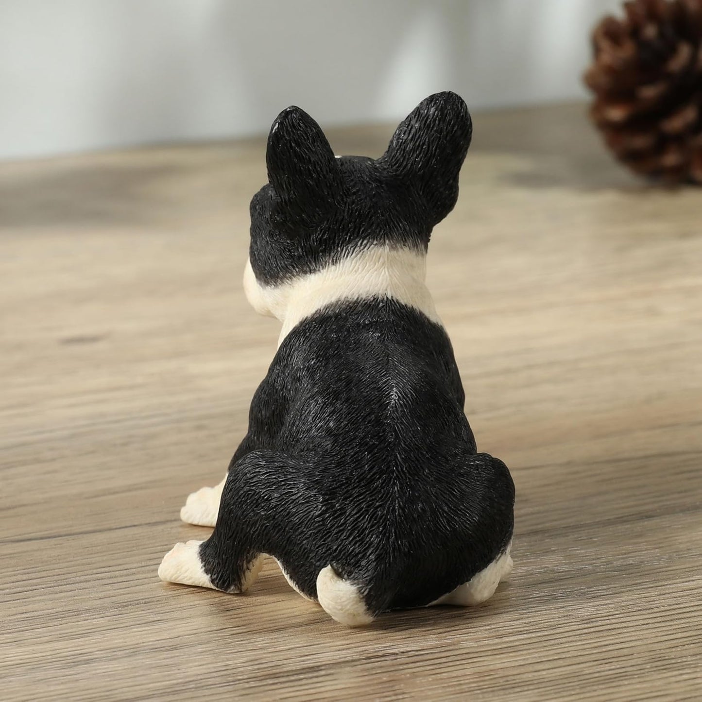 Boston Terrier Puppy