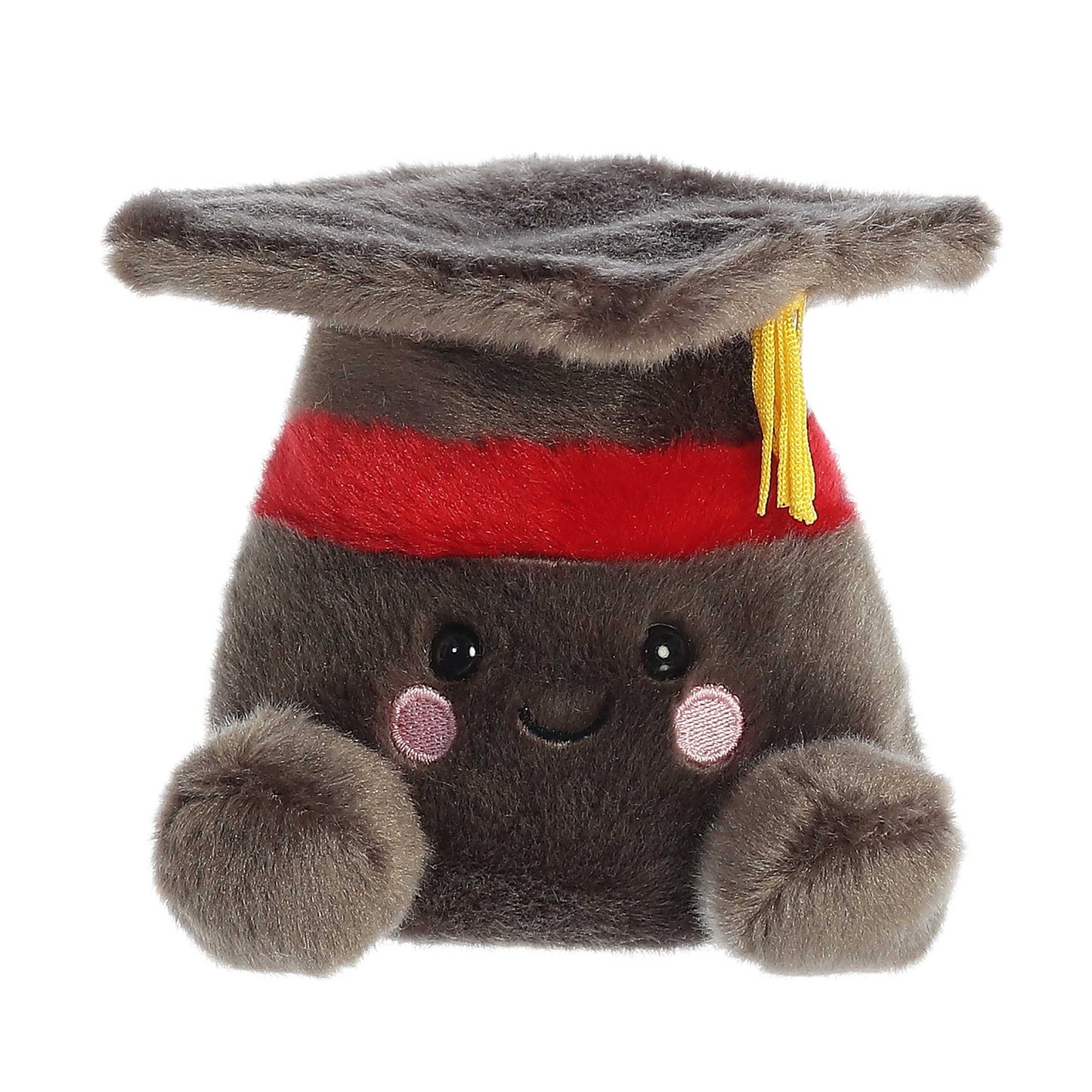 5" Scholarly Graduation Cap