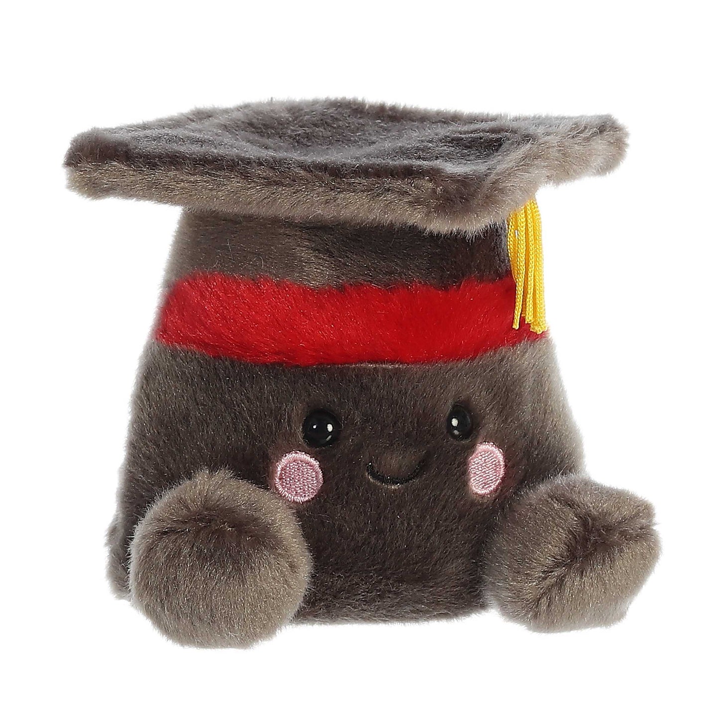 5" Scholarly Graduation Cap