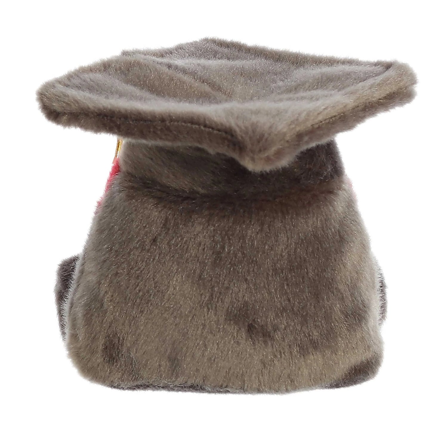 5" Scholarly Graduation Cap