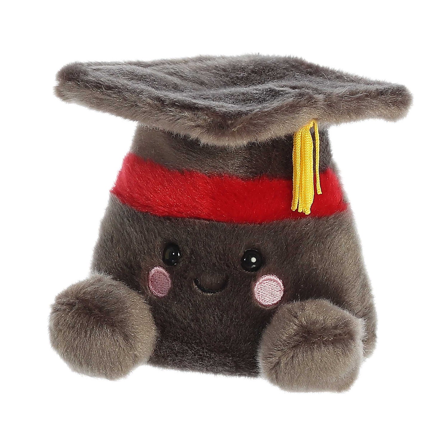 5" Scholarly Graduation Cap