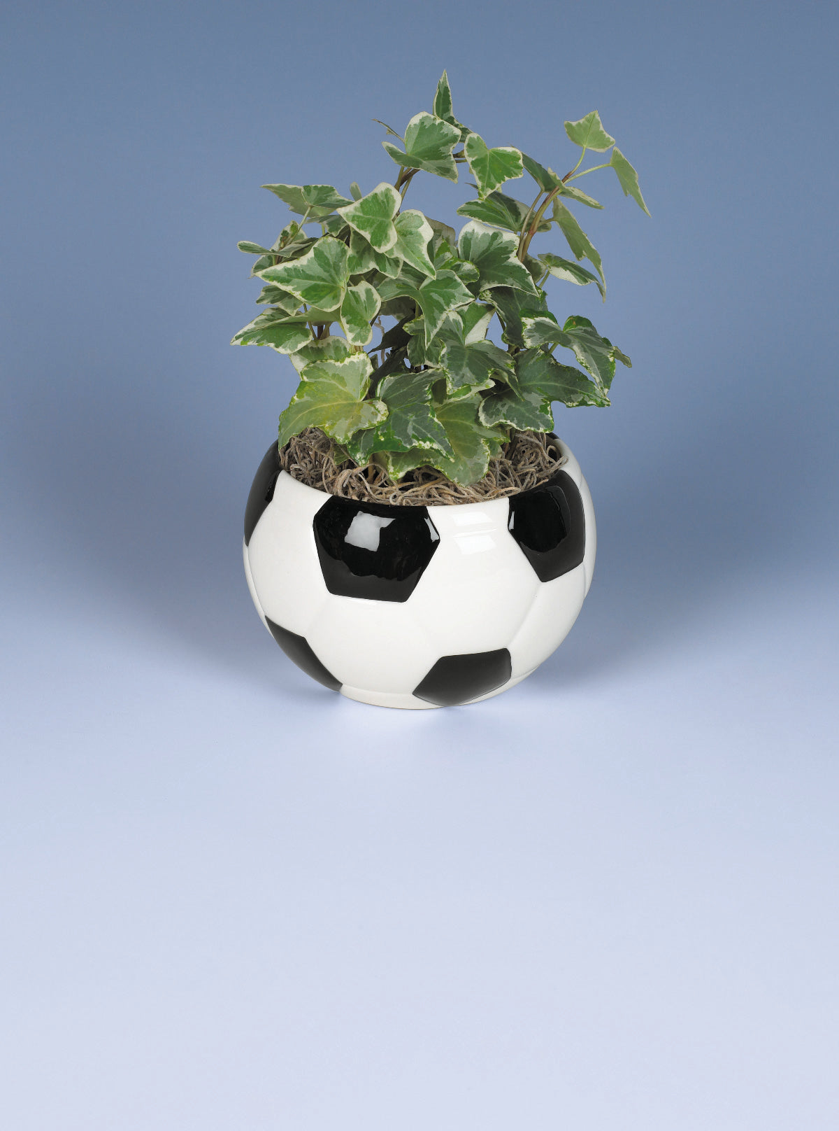 Mini Soccer Ball Ceramic Planter/Bowl