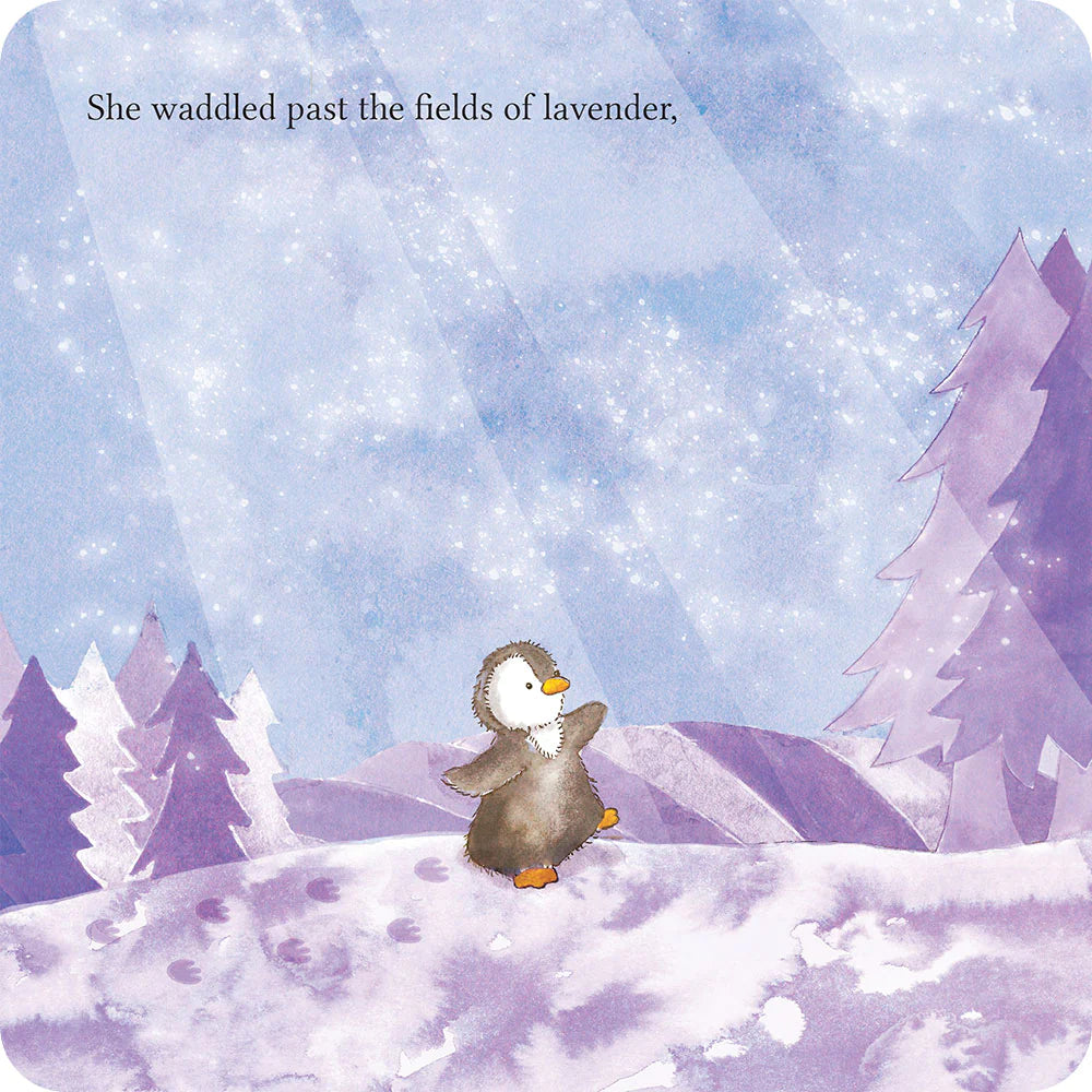 Lost In The Woods Board Book