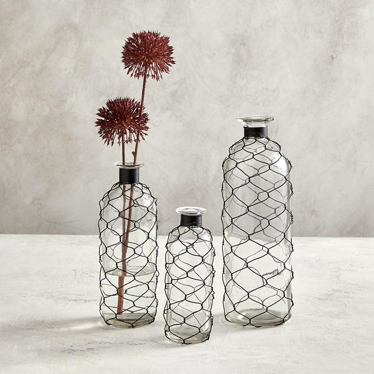 Glass Vase with Wire - Medium