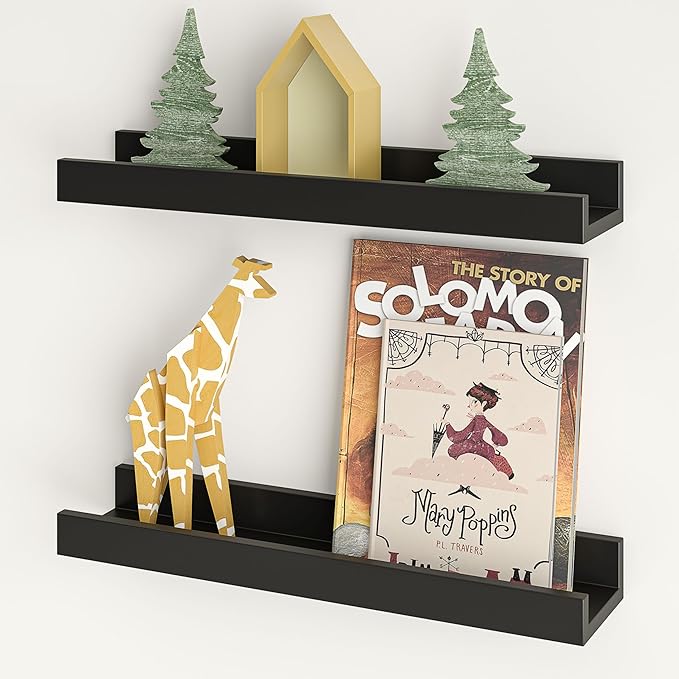 24" Floating Display Ledge Shelves (Set of 2)