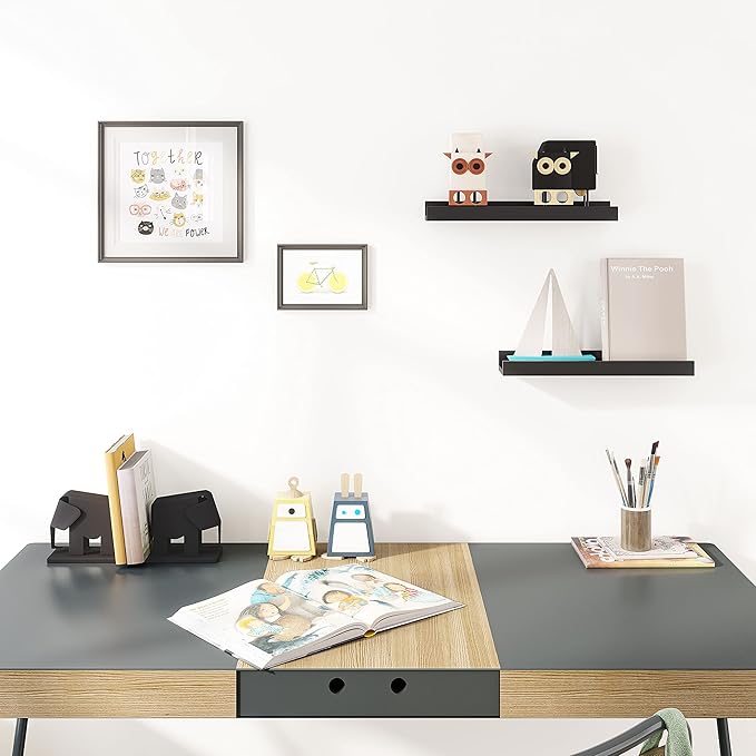 24" Floating Display Ledge Shelves (Set of 2)