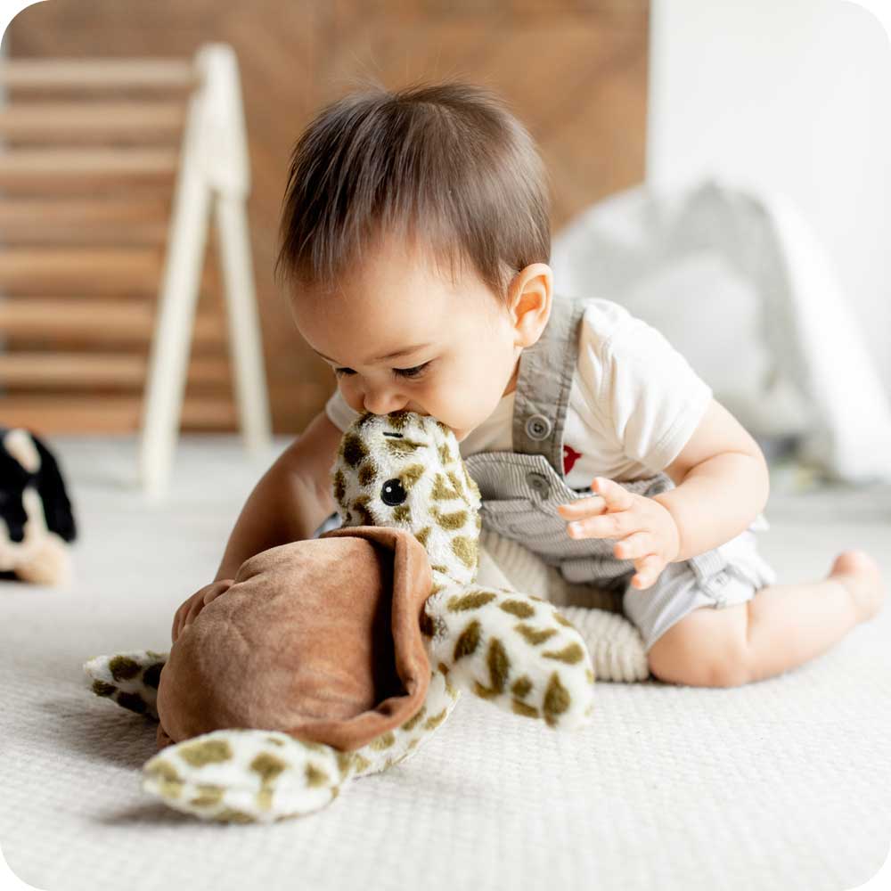 Multicolor Turtle Warmies