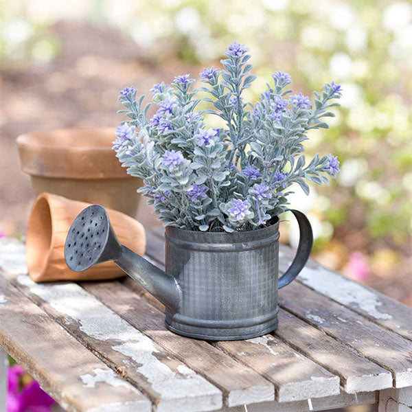Mini Watering Can Pot