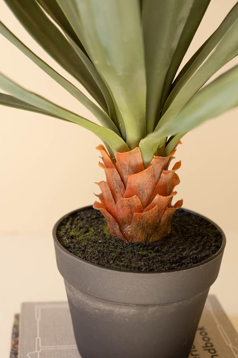 Artificial Sisal Plant in Black Plastic Pot