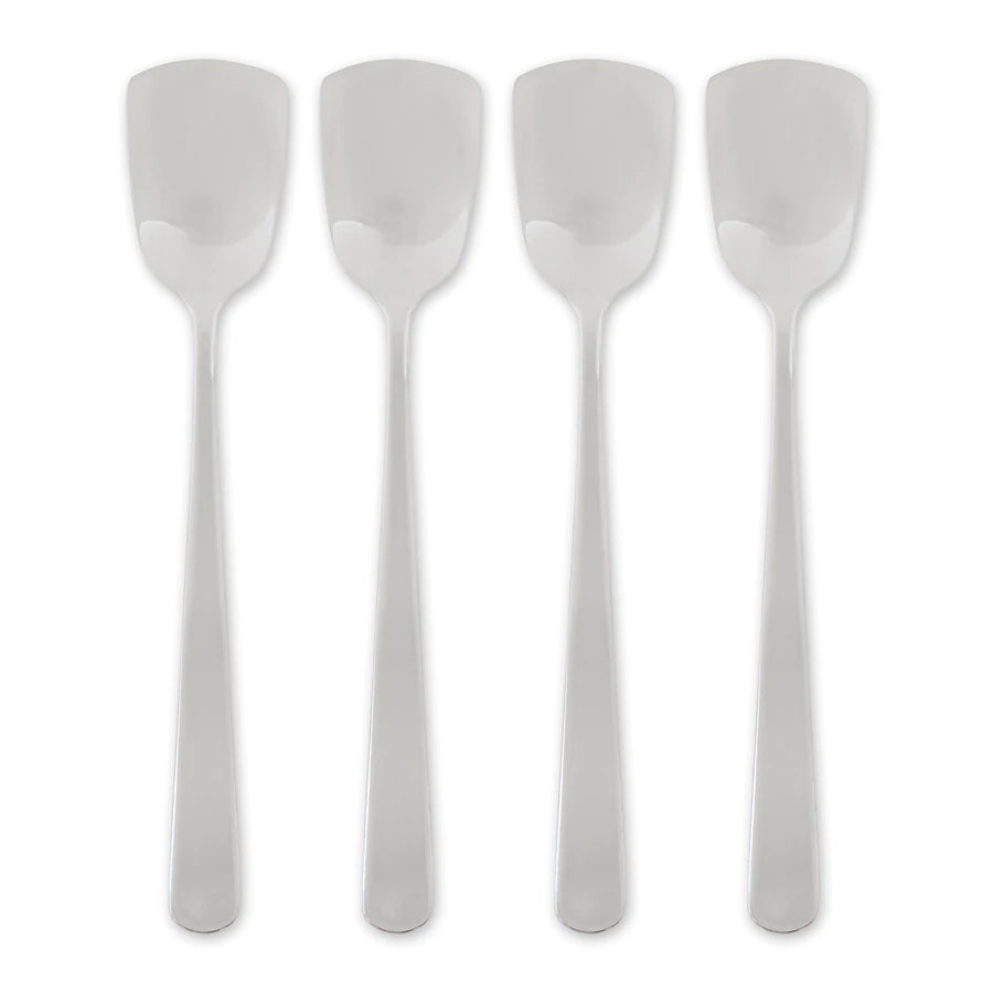 Endurance Ice Cream Spoons Set Of 4