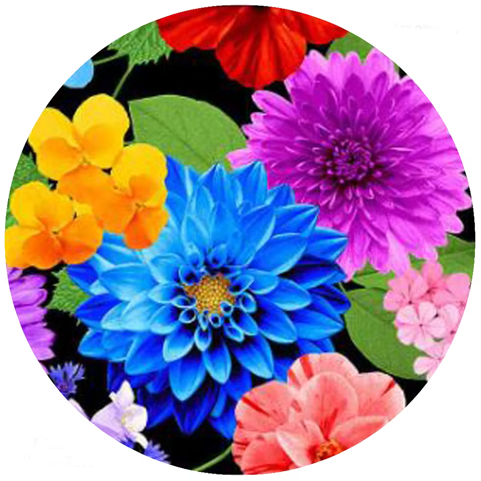 Flippin Flower Jar Opener