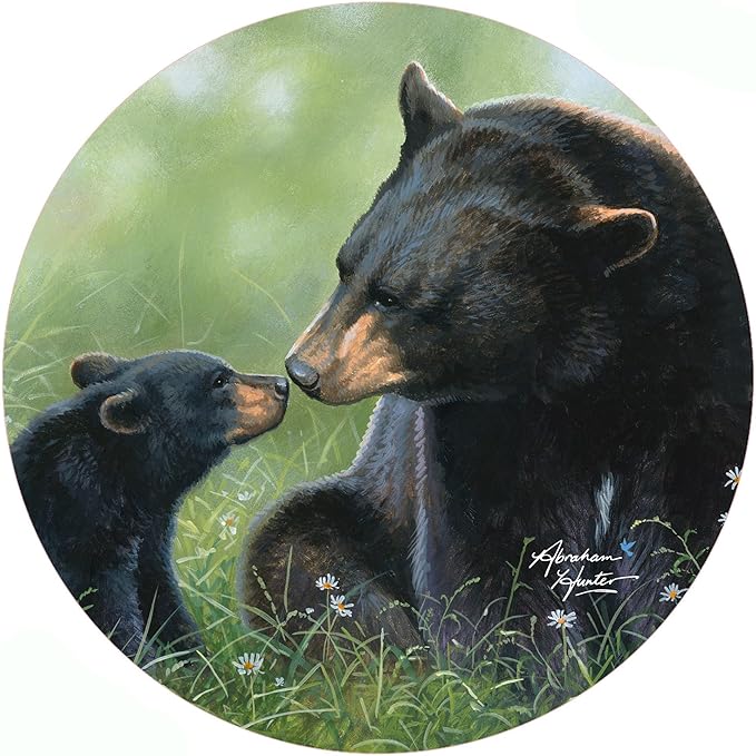 A Mother's Love - AB0100