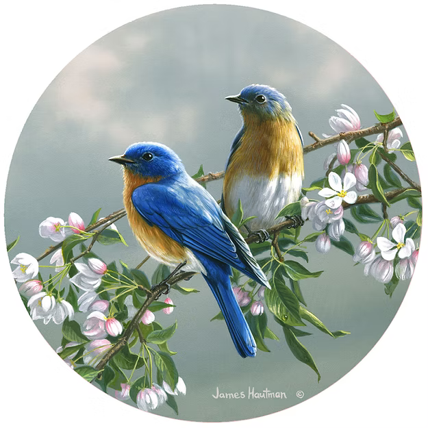 Spring Blossom Bluebirds Jar Opener