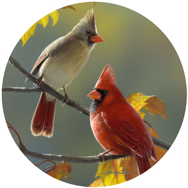 Golden Morning Cardinals Jar Opener