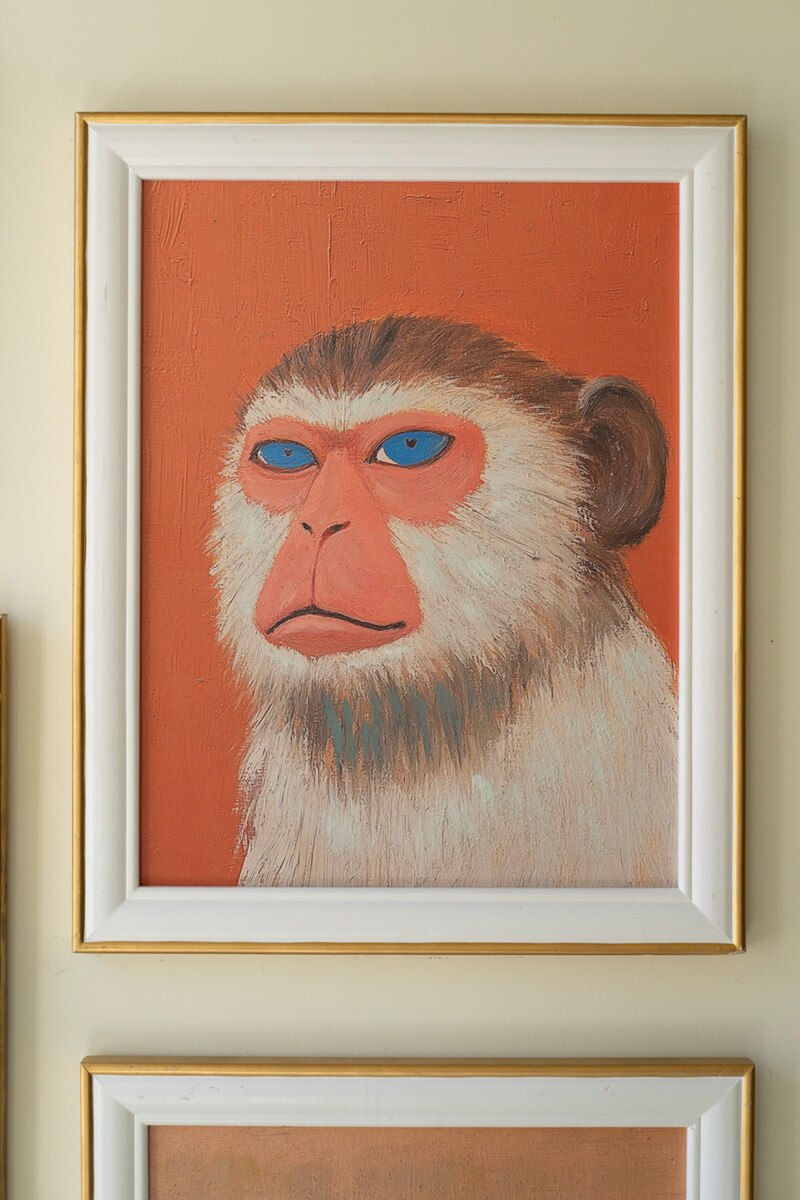 Set of 5 Framed Animal Prints