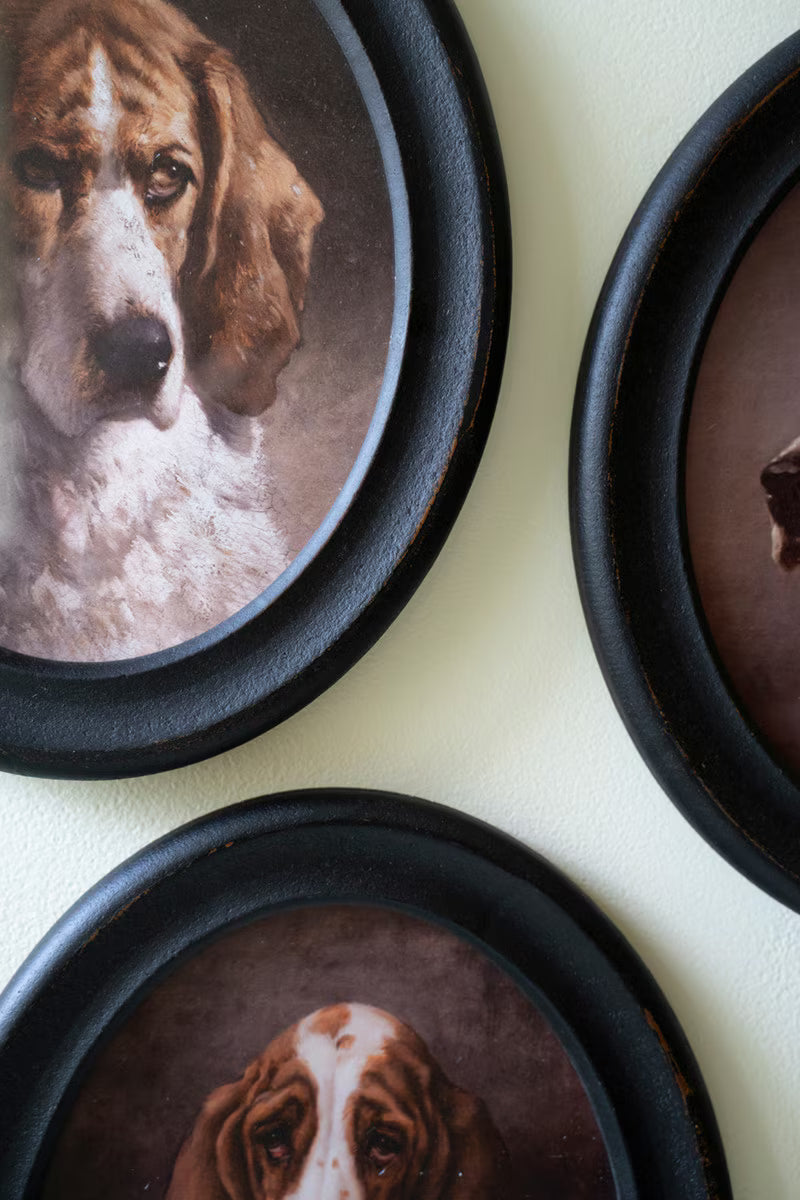 Set of 4 Framed Oval Hound Prints under Glass