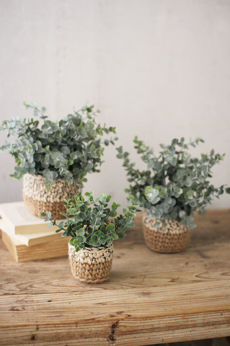 Set of 3 Artificial Eucalyptus Plants In Woven Pots