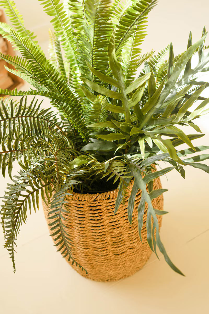 Artificial Mixed Ferns in Black Plastic Pot