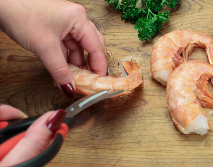 Endurance Collection Seafood Stainless Steel Tool Scissors