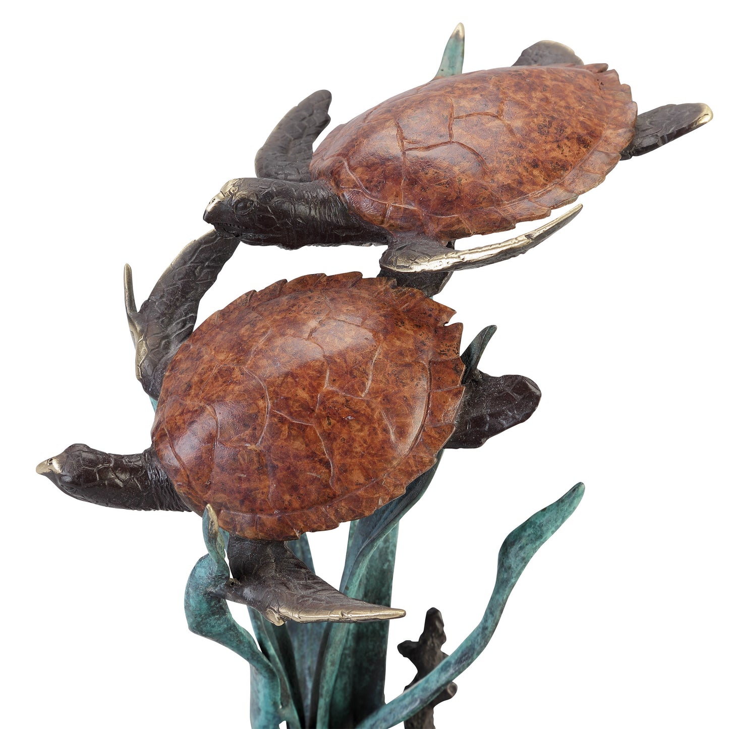 Lagoon Encounter - Double Turtles