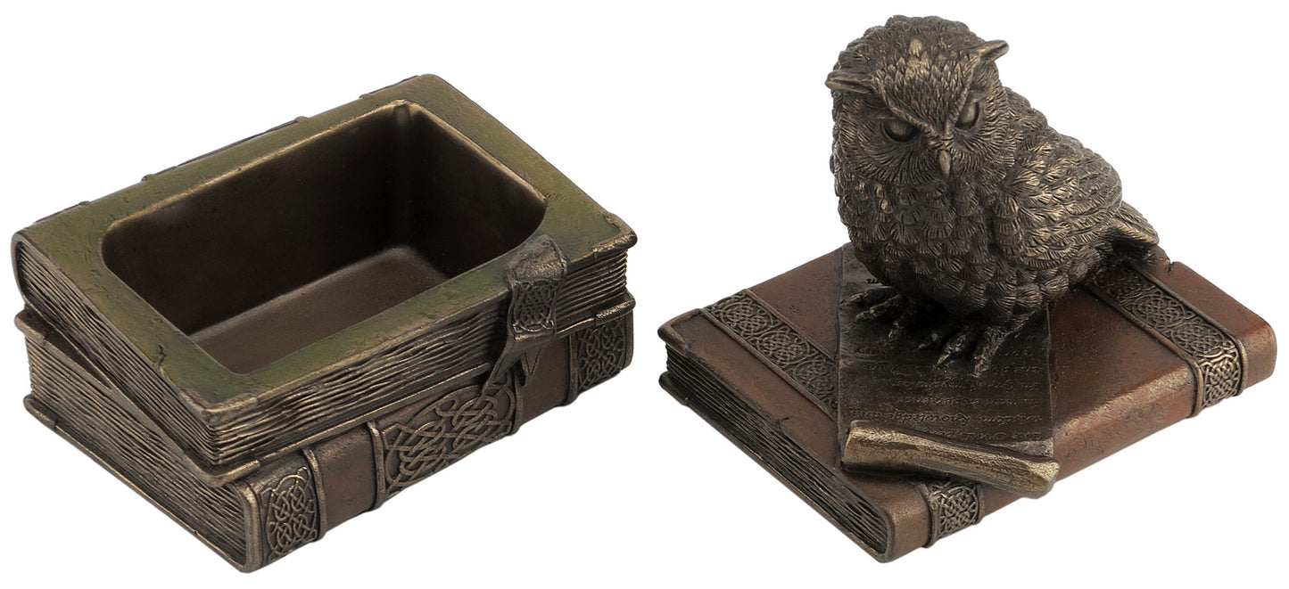Collared Scopes Owl On Books Trinket Box