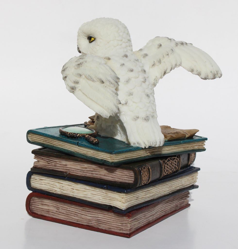 Snow Owl Flap Wings On Books Trinket Box