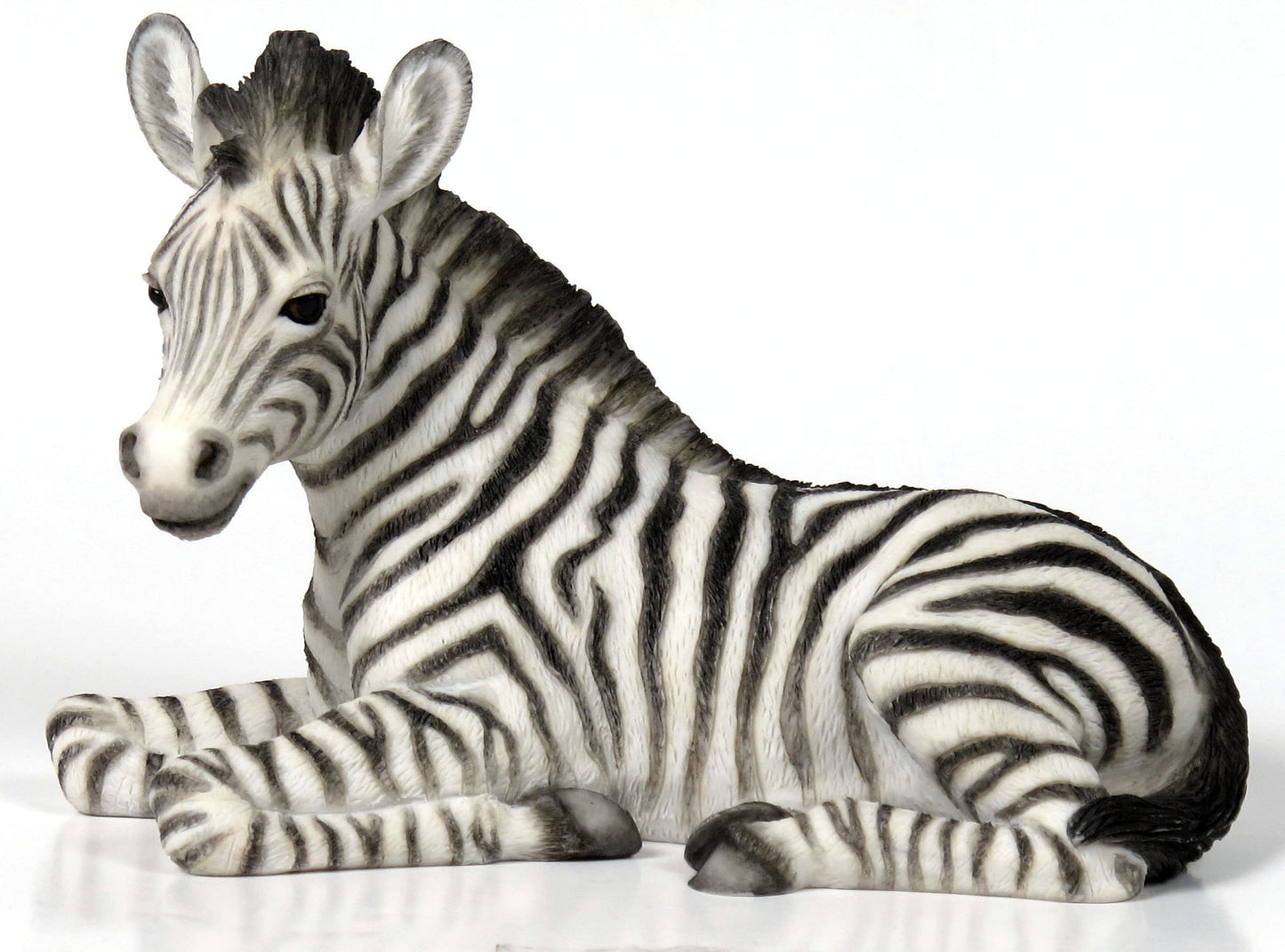 Baby Zebra Kneeling