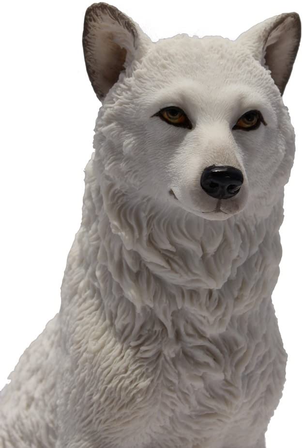 White Wolf Sitting In Snow