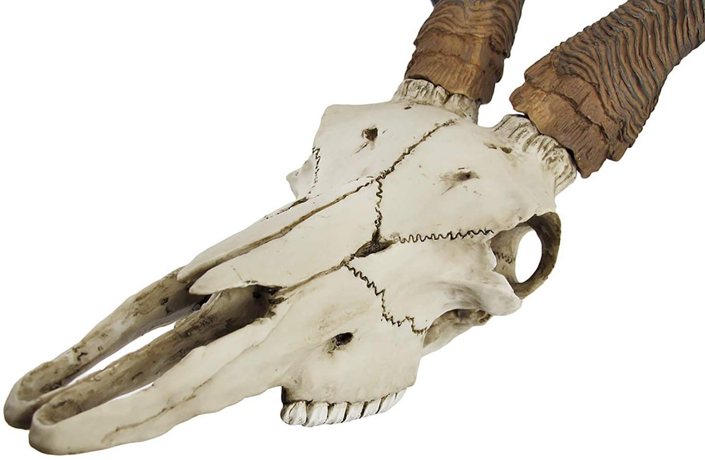 Kudu Skull Wall Plaque