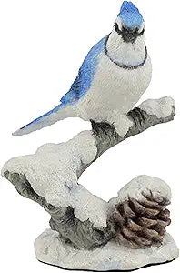 Blue Jay