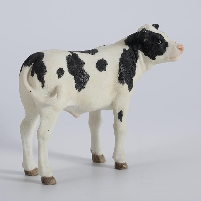 Holstein Calf