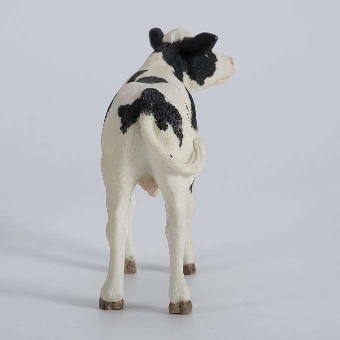 Holstein Calf