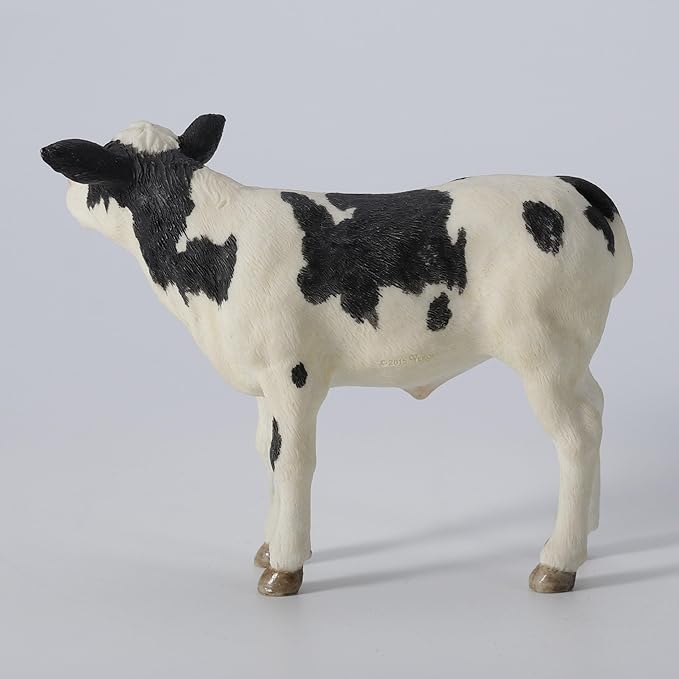 Holstein Calf