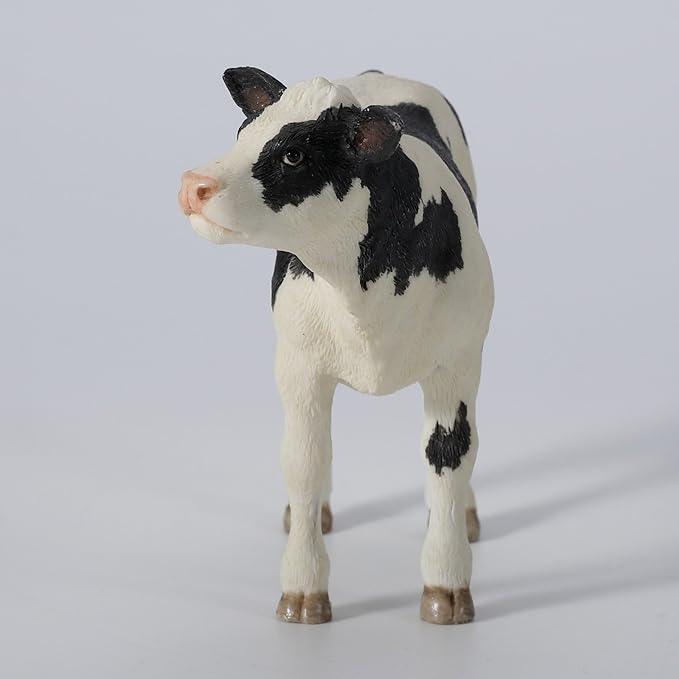 Holstein Calf
